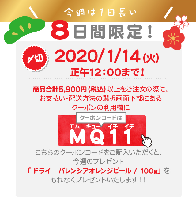 プレゼントのクーポンコードはMQ11(エム　キュー　イチ　イチ)