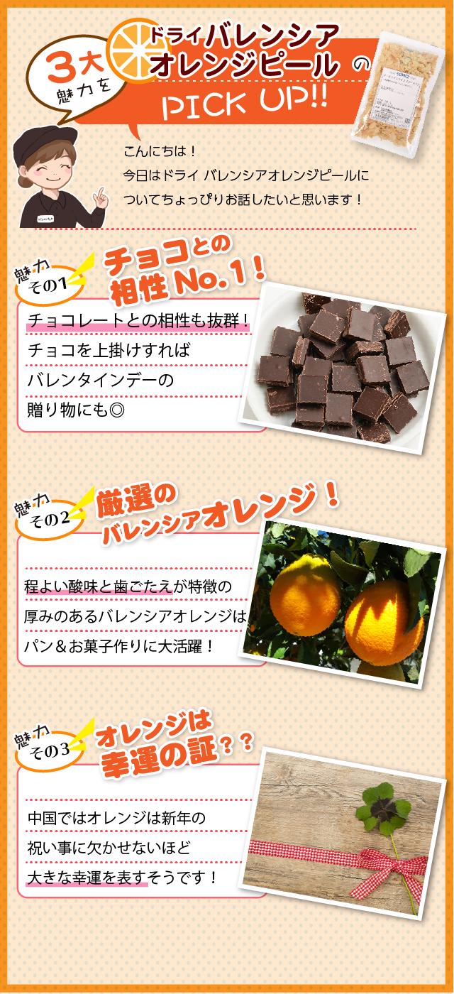プレゼントアイテム説明