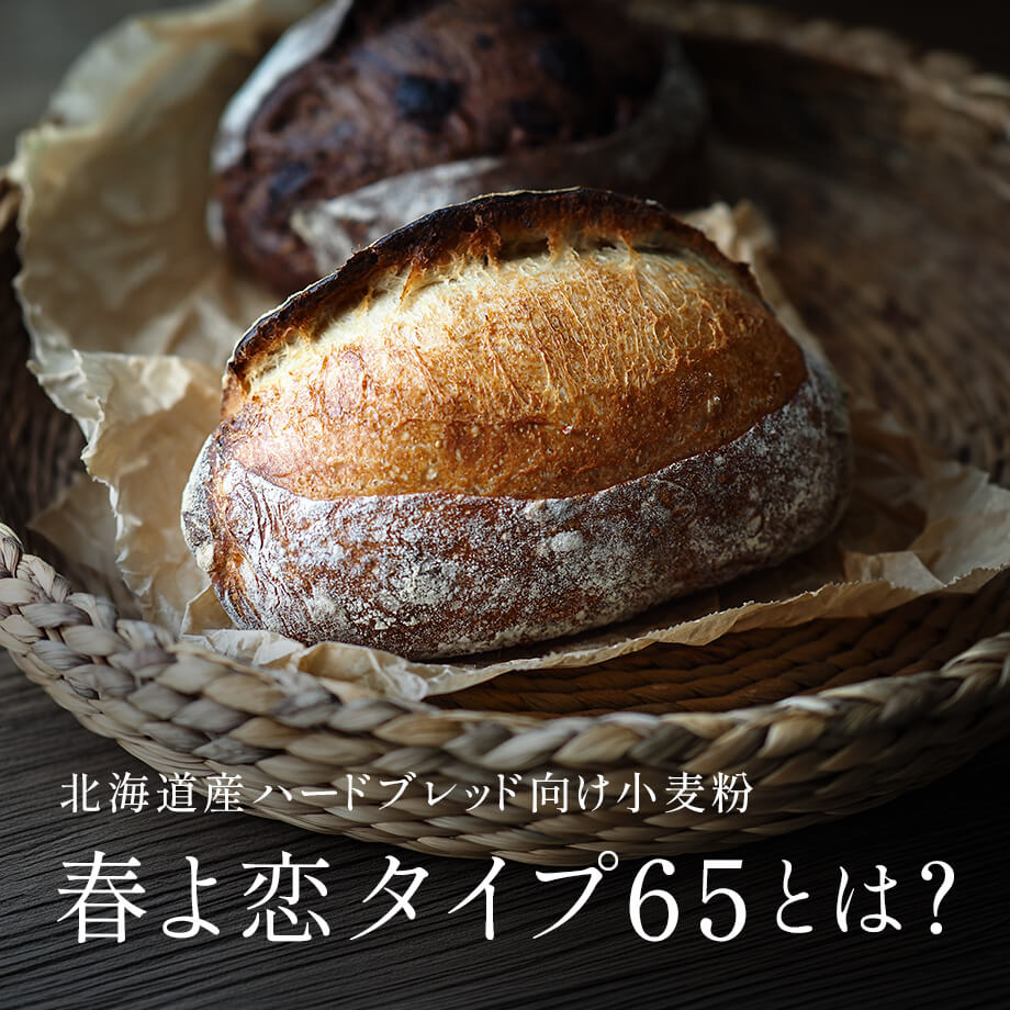 特集メインビジュアル