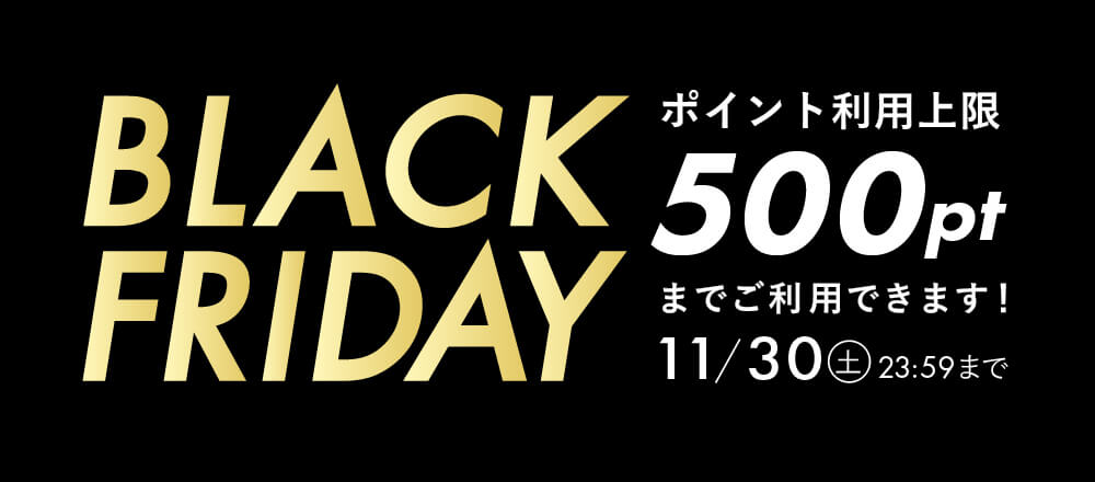 ポイントご利用上限500ポイントまでご利用可能!