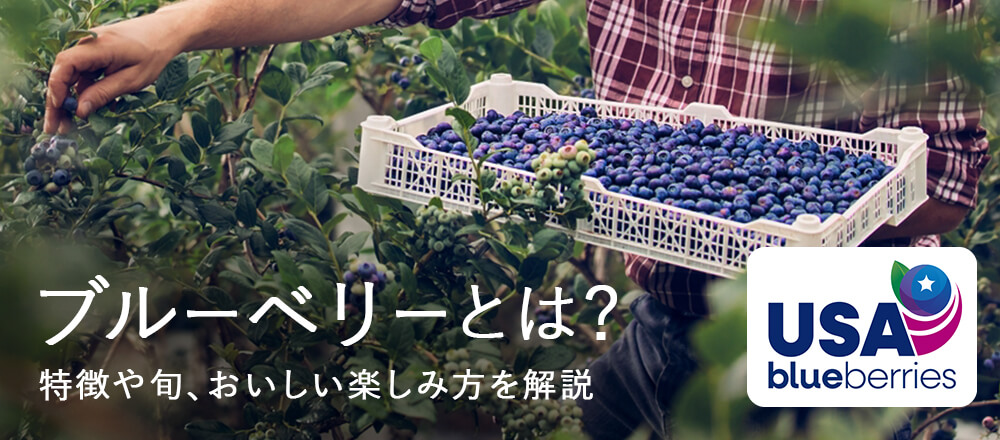 ブルーベリーとは?特徴や歴史、旬の時期や楽しみ方を解説